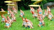 Gartenzwerge