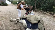 Ein Kreislaufkollaps zwingt Airoso zu Boden. Stephanie Petersen lässt in der Praxis alles stehen und liegen, um dem Notfall-Patienten wieder auf die Beine zu helfen.