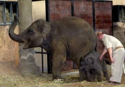 10 Uhr vom NDR im Ersten. Michael Schmidt mit Kandy und Shila.