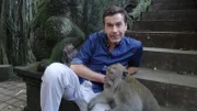 "Terra X"-Moderator Dirk Steffens: "Affen sind für mich kleine Waldmenschen mit extremer Körperbehaarung."