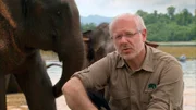 Theo Pagel, Kölns Zoodirektor, mit Asiatischen Elefanten.