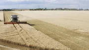 Unsere reiche Ernte ist bedroht, wenn uns das Phosphor ausgeht.