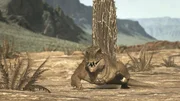 Vor rund 300 Millionen Jahren zog der Dimetrodon über den Planeten.