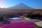 Der über 3.700 Meter hohe Fuji, das internationale Wahrzeichen des Landes, scheint über die Inselgruppe und ihre Bewohner zu wachen.
