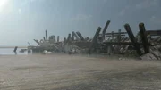 From a buried film set to a WW1 Navy ship and old fishing barge, we discover the role these ruins played in Hollywood movie-making history. (National Geographic)