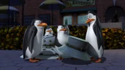 L-R: Rico, Private, Skipper, Kowalski