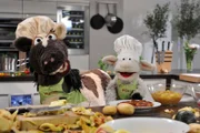 Pferd und Wolle lernen bei Steffen Henssler kochen.