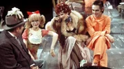 Die "Klimbim"-Familie: Franz Muxeneder, Ingrid Steeger, Elisabeth Volkmann und Horst Jüssen spielen 1974 in der Comedy-Serie mit.