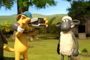 "Cheese"- Shaun setzt sein Sonntagsgesicht auf.