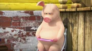 Das Schwein beim Konsolenspiel.