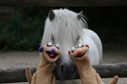 Jan und Henry machen sich darüber Gedanken, warum ihre Nasen unterschiedliche Farben haben. Überhaupt gibt es so viele verschiedene Personen, die alle ganz anders sind, zum Beispiel im Zoo: Da gibt es Tiere mit langen Hälsen, mit Punkten, großen Augen oder dickem Fell.