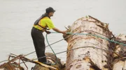 Dave Lornie stands on a floating log bundle preparing to lash a tow rope to the bundle.