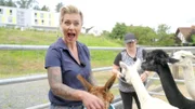 Doc Caro (l.) besucht mit Ramona die Alpakas.