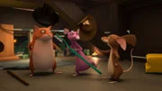 Rattelique macht keine gute Figur.