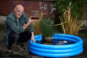 Tagsüber kühlen sich Nilpferde im Wasser ab und verdauen. Die Flusspferde fungieren so als eine Art Nährstoffpumpe vom Land in die Flüsse und Seen. Wie das genau funktioniert und was Silizium damit zu tun hat – das erklärt Thomas D bei Wissen vor acht - Natur.