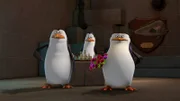 L-R: Rico, Kowalski, Skipper