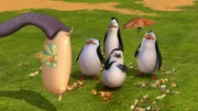 L-R: Skipper, Kowalski, Private, Rico