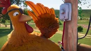 Huhn Flo im Einsatz: sie repariert die Telefonleitung, die von einem Sturm zerstört wurde.