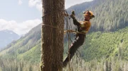 Brad Laviolette standing and roped to the side of an upright tree while attaching a yarder cable.