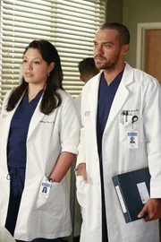 Versuchen, Derek zu einer riskanten Operation zu überreden, die seine Hand wieder funktionsfähig machen könnte: Callie (Sara Ramirez, l.) und Jackson (Jesse Williams, r.) ...