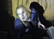 Als Catherine (Marg Helgenberger) die Wohnung der Mutter eines Mordopfers betritt, wird sie von einer Frau angegriffen und gebissen, bevor diese tot auf dem Boden zusammensackt...