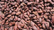 Coffee beans
