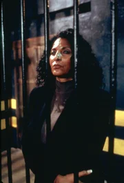 Asst. US Attorney Claudia Williams (Pam Grier)