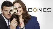 (Staffel 12)
