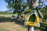 Im Garten von Gastgeberin Dajana Schmitt finden die Vögel auch ein schönes Zuhause.