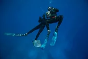 Bruce Ayau and Eric who holds an octopus in his hands underwater.