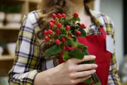 flower shop