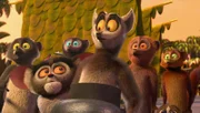 Maurice, King Julien