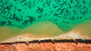Die größten Seegraswiesen der Welt finden sich vor der australischen Küste. Sie sind effektive Kohlendioxid-Speicher.