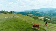 Wanderer auf Grenzpanoramaweg mit Blick Richtung Slowenien.