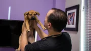 Dr. Lavigne holds up Junebug to examine her.