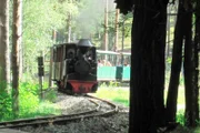 SWR Fernsehen EISENBAHN-ROMANTIK, "Oberlausitzer Impressionen - Die Waldeisenbahn von Bad Muskau". Mit 20 km Streckenlänge Deutschlands längste Museumsbahn mit 600mm: die Waldeisenbahn Muskau.