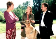 Elmar Baumann, ein älterer wohlhabender Mann, wird in seiner Villa das Opfer eines Raubüberfalls. Als Marc und Rex am Tatort ankommen, erkennt Rex, dass der vermeintliche Tote noch lebt. Bei ihren Ermittlungen stoßen sie auf einige Merkwürdigkeiten: In der Wohnung des Opfers fehlt nichts, außerdem scheinen auch die sonst üblichen Wertgegenstände gar nicht vorhanden zu sein. Marc und Rex kommen dahinter, dass der Übefallene einen Zweitwohnsitz hat und überraschen die langjährige Haushälterin Marga Benesch dabei, wie sie eben dort vergrabene Wertgegenstände an sich bringt. Im Bild: Ursula Strauss, Elke Winkens, Rex, Alexander Pschill.