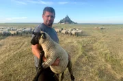 Florian Muriel mit einem seiner Salzwiesenschafe vor dem Mont-Saint-Michel.