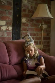 Izzie reading a book with a koala on her head.