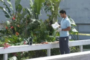 Eine junge Frau wird im Park erwürgt aufgefunden. Eric Delko (Adam Rodriguez) übernimmt die Ermittlungen ...