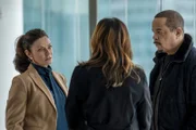 Connie Parish (Michelle Gomez), Fin Tutuola (Ice T) Eine Innenarchitektin wird Opfer eines sexuellen Übergriffs. Sie beschuldigt den Sohn eines Baumagnaten, der sich prompt in die Ermittlungen gegen seinen Sohn einmischt.