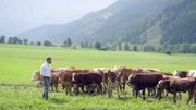 Etwas abseits vom stillen See, auf einer sonnigen Anhöhe, weiden Kühe friedlich am Hang. Es ist die Almwirtschaft von Paul Schreilechner, die seine Familie schon seit Generationen betreibt. Paul Schreilechner versorgt auch die zahlreichen Wanderer, die hier vorbeikommen, in seiner Kräutlalm. Als Senner produziert er selbst Butter.