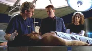 Neben einer männlichen Leiche haben Ermittler wertvolle antike Münzen gefunden. Dr. Hammerback (Robert Joy, l.) erklärt den beiden Detectives Taylor (Gary Sinise) und Bonasera (Melina Kanakaredes), dass der Mann unter ähnlichen Umständen umkam wie ein Opfer, das Monate zuvor umgebracht worden war.