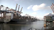 Auch die Containerriesen im Hafen werden kontrolliert.