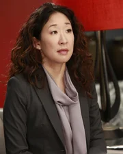 Dr. Cristina Yang (Sandra Oh) ist eine wahnsinnig strebsame Ärztin und geht lieber auf Nummer sicher. Bei ihrem Freund Dr. Owen Hunt fühlt sie sich geborgen, doch der hat keine Ahnung, was sie mit ihren Freunden hinter seinem Rücken plant ?
