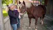 Bei Kaltblüter Pollux wurde eine Zyste in den Atemwegen entfernt. Mit Akupunktur sorgt Dr. Regina Seemüller dafür, dass der lebensbedrohliche Tumor nicht zurückkommt.
