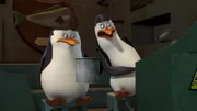 L-R: Skipper, Kowalski