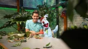 Woozles Devise: Um den Regenwald schützen zu können, muss man sich in ihn hineinversetzen. Deshalb holt er, mithilfe seines Weitversetzers 3001, den Regenwald ins Studio.