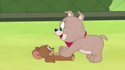v.li.: Jerry, Tyke