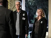 D.B. Russell (Ted Danson) und Julie Finlay (Elisabeth Shue) ermitteln im Fall des verschwundenen Jungen in unterschiedliche Richtungen. D.B. Russell (Ted Danson) und Julie Finlay (Elisabeth Shue) ermitteln im Fall des verschwundenen Jungen in unterschiedliche Richtungen.